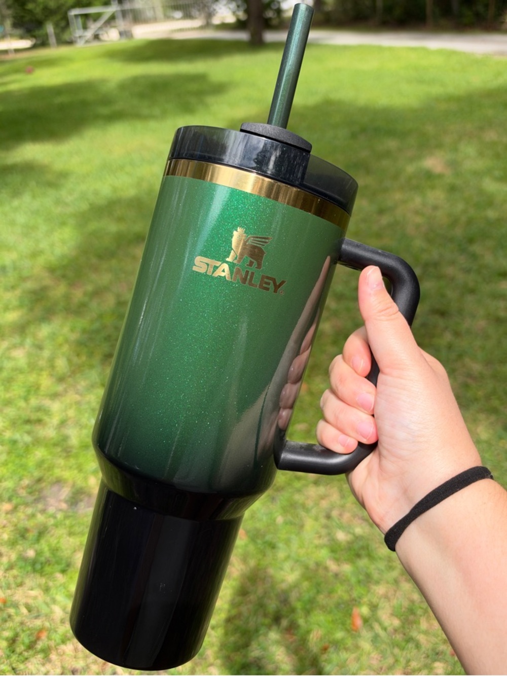 Stanley x Wicked Tumbler with Straw 💚